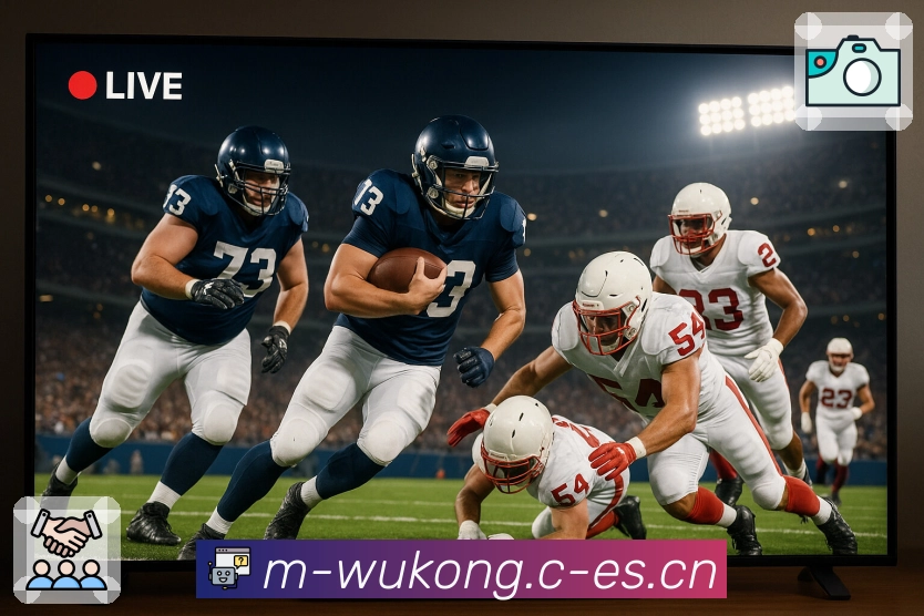 悟空体育 精彩赛事